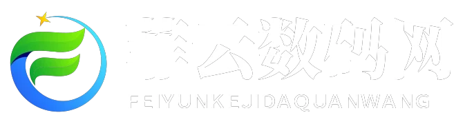 菲云数码网